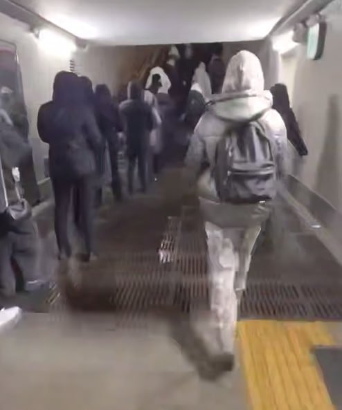 Последствия снегопада в Москве Телеграм-канал &quotМосква с огоньком&quot