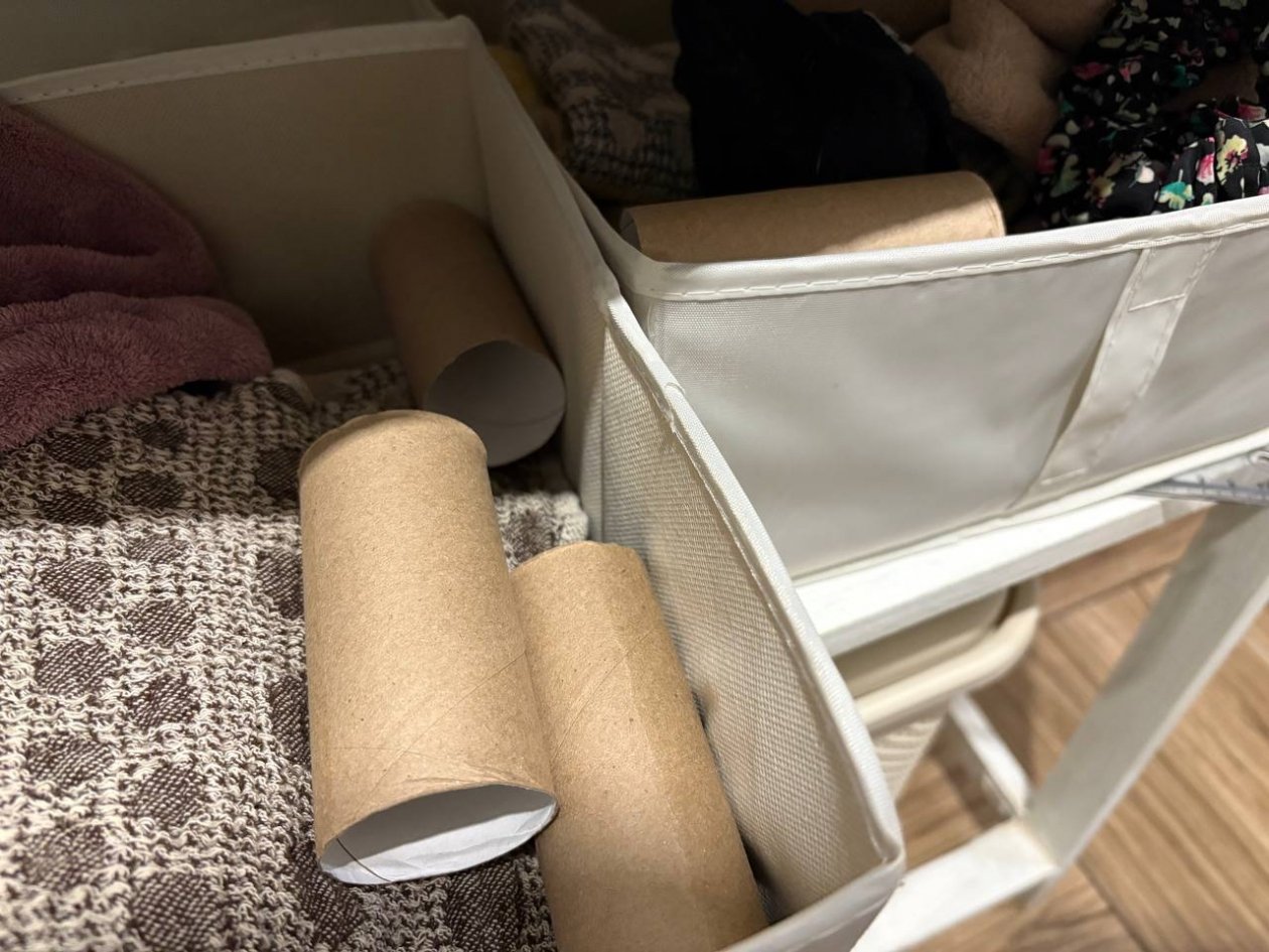 Не хлам, а драгоценность: 9 трюков с втулками от туалетной бумаги - теперь ни одной не выброшу ИА KrasnodarMedia