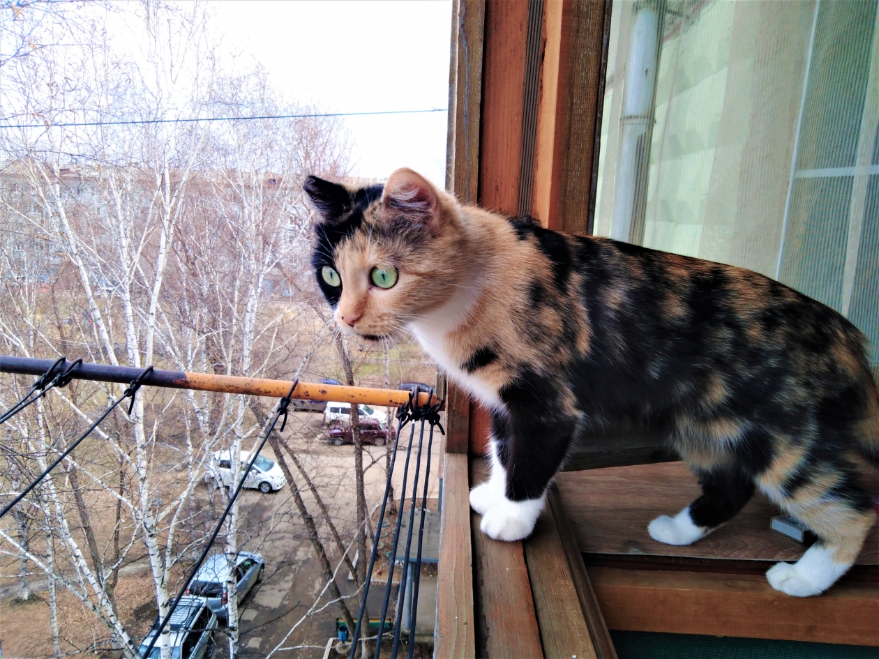 Тематическое фото ИА EAOMedia