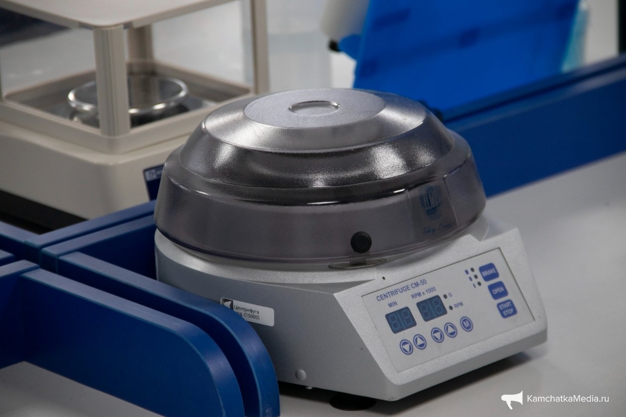 Ирина Васильева, ИА KamchatkaMedia