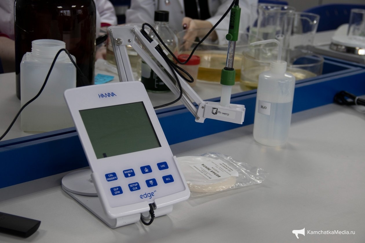 Ирина Васильева, ИА KamchatkaMedia