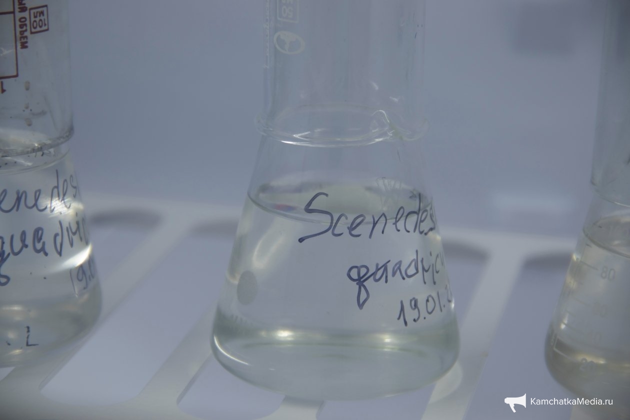 Ирина Васильева, ИА KamchatkaMedia