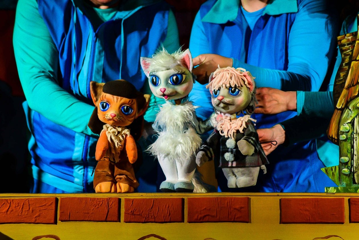 Камчатский театр кукол