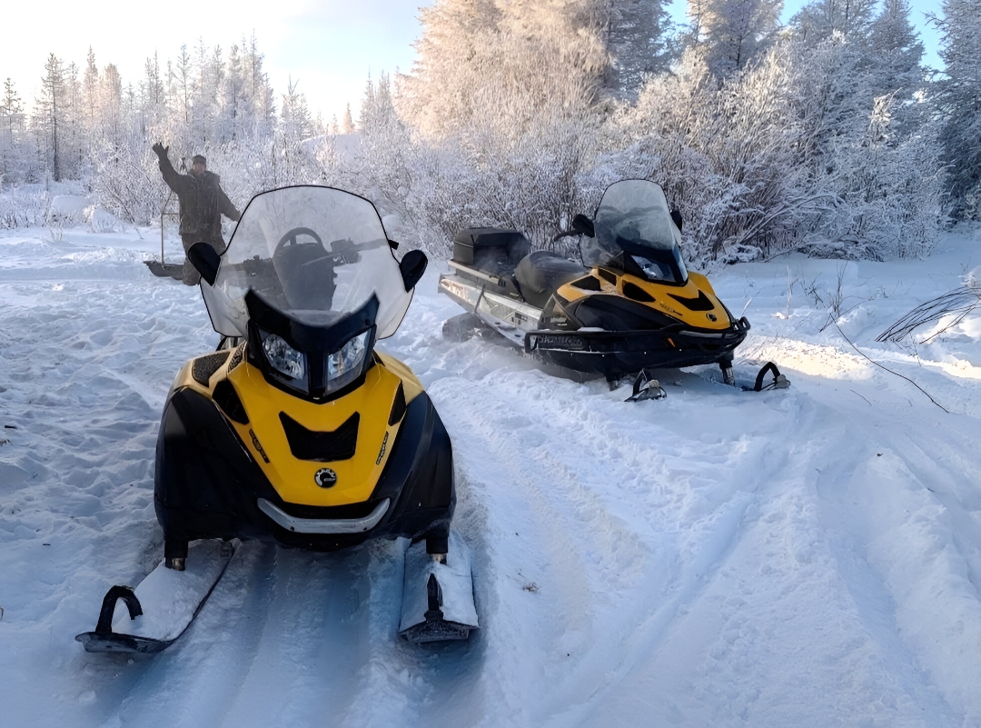 На Колыме проводятся зимние учеты численности охотничьих животных и птиц Источник