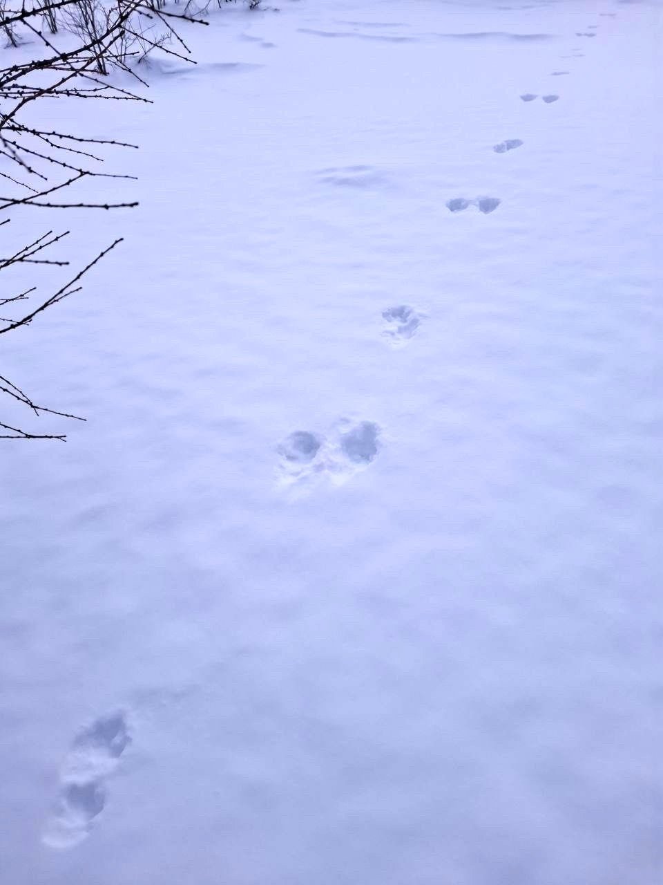 Правительство Магаданской области