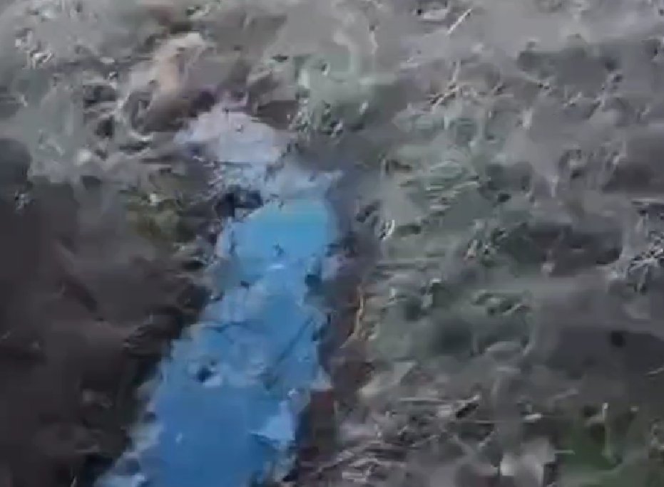 Тематическое фото Амурская бассейновая природоохранная прокуратура