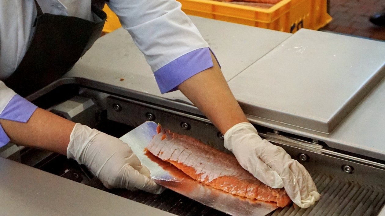 Тематическое фото Правительство Магаданской области