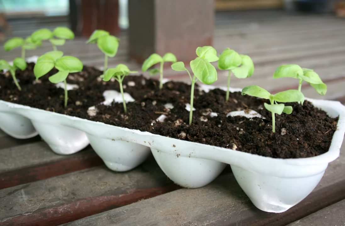 Тематическое фото unsplash.com