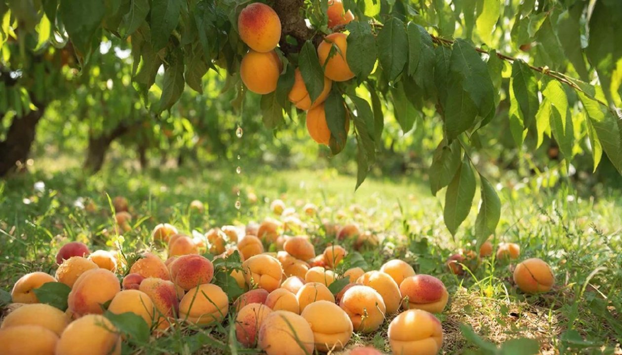 Изображение GigaChat (18+)