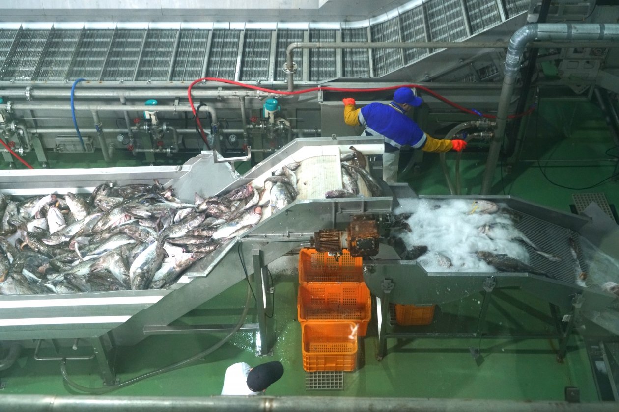 пресс-служба правительства Сахалинской области