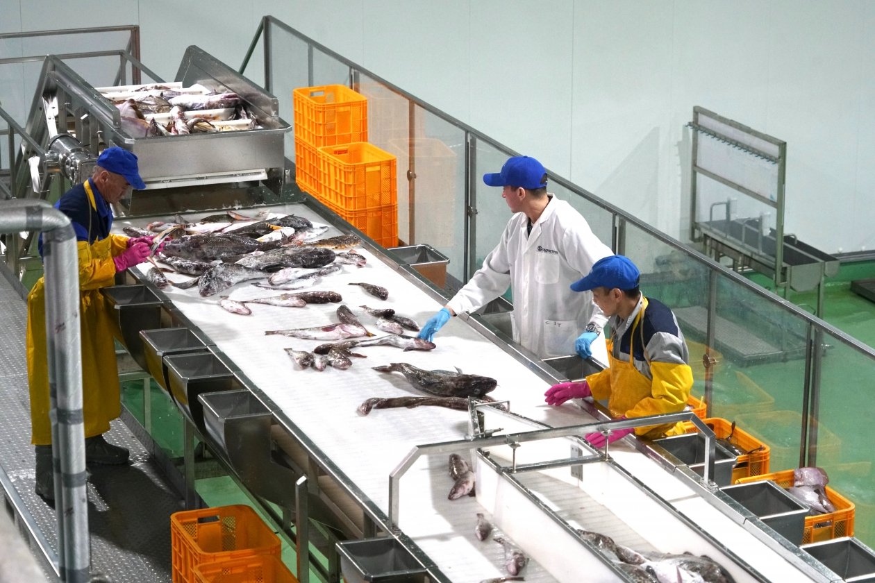 Рыбоперерабатывающий завод пресс-служба правительства Сахалинской области