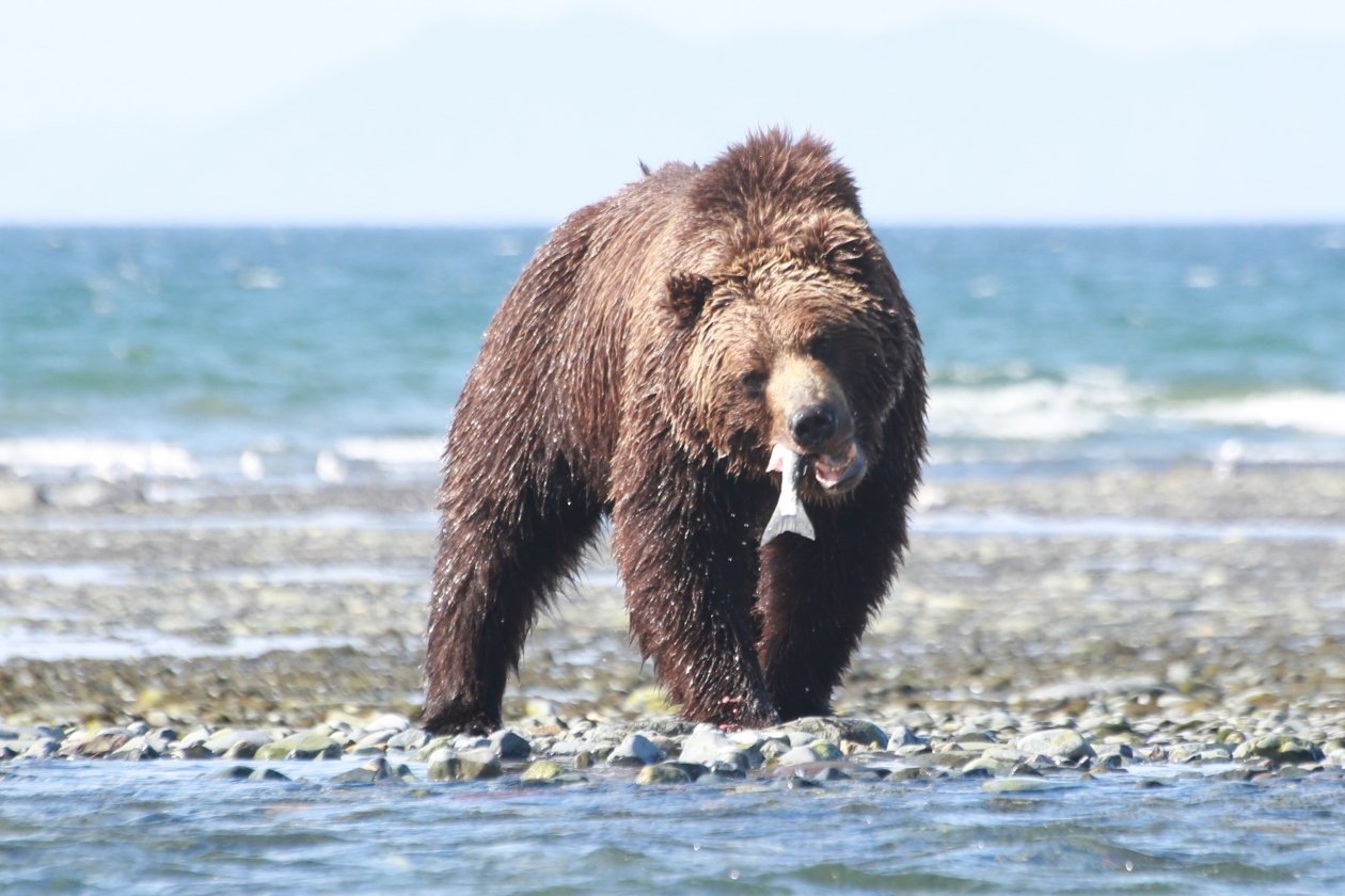 Тематическое фото Игорь Чёрный, ИА MagadanMedia