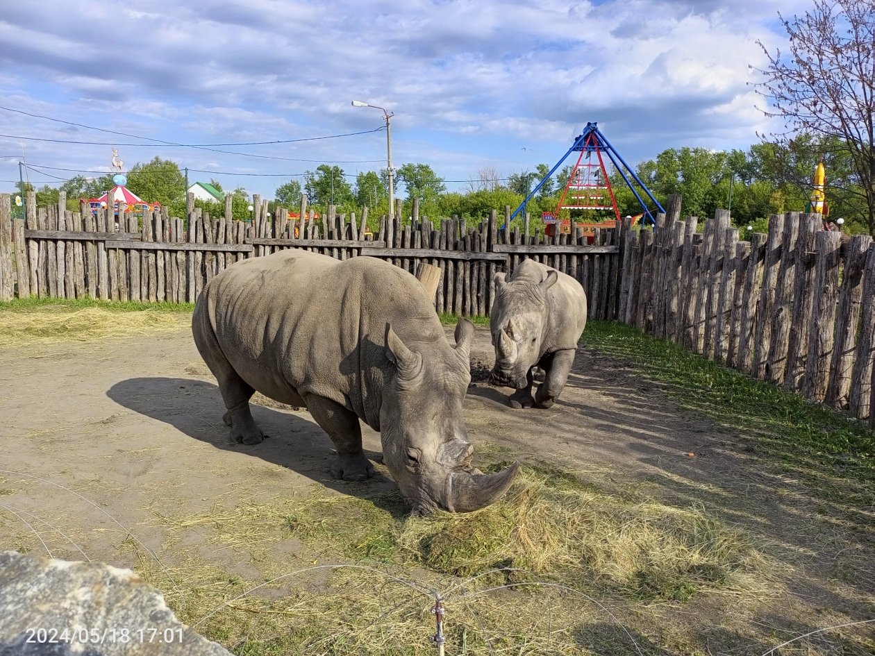 Старооскольский зоопарк