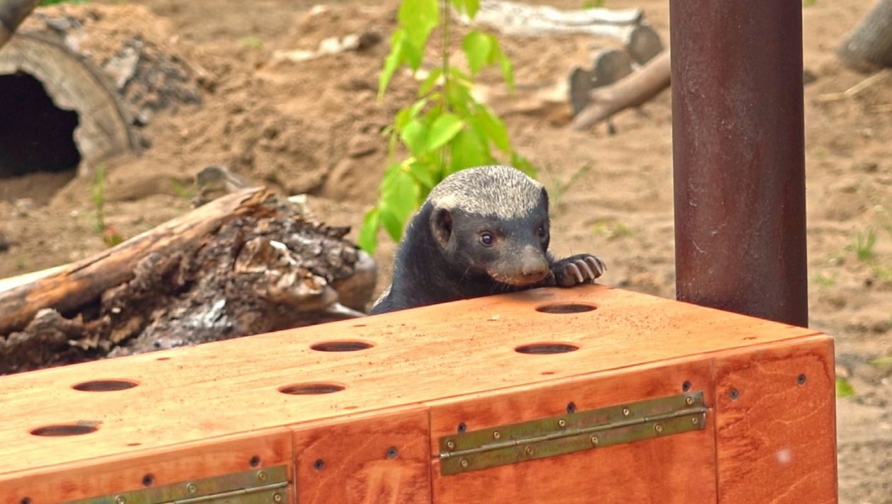 Московский зоопарк