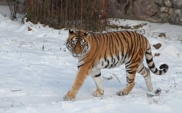 Московский зоопарк