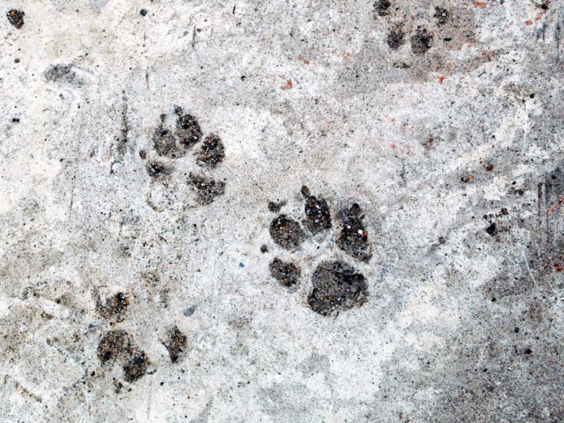 Тематическое фото ИА PrimaMedia