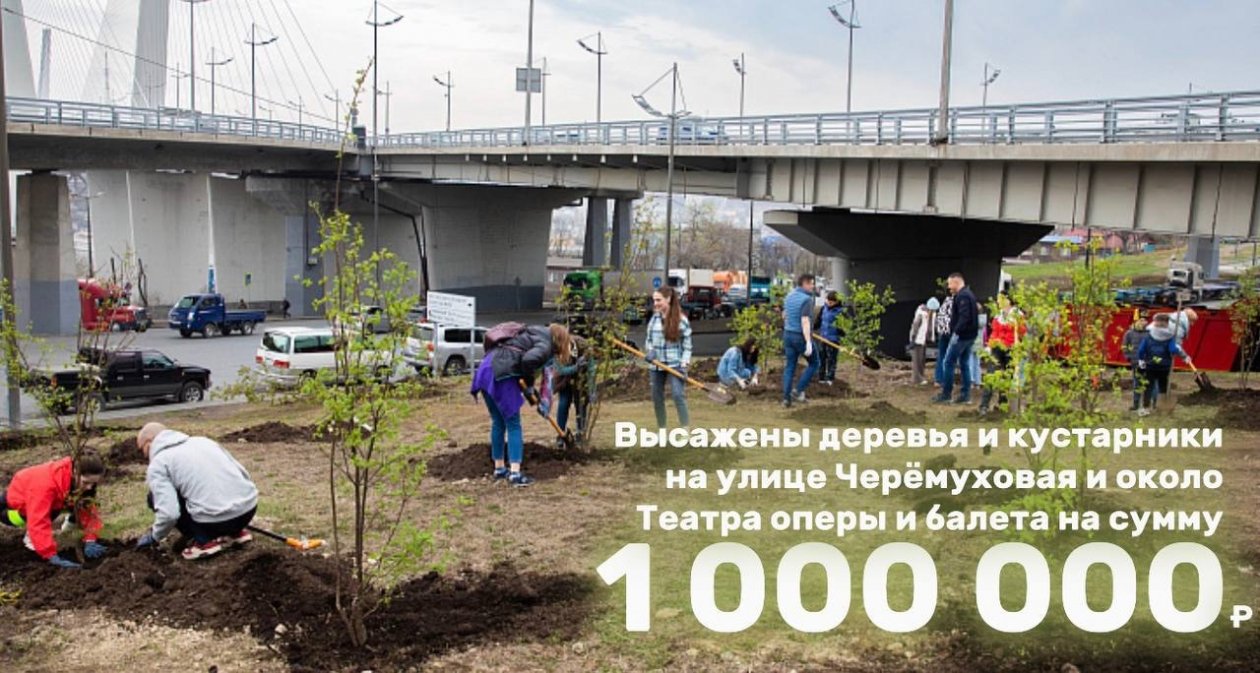 предоставлено АНО «Многодетное Приморье»