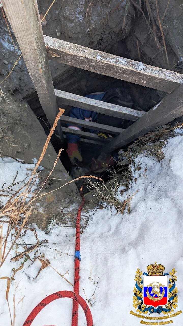 Спасатели достали собаку из колодца на заброшенном участке в Ангарске Группа в ВК (12+) Пожарно-спасательной службы Иркутской области