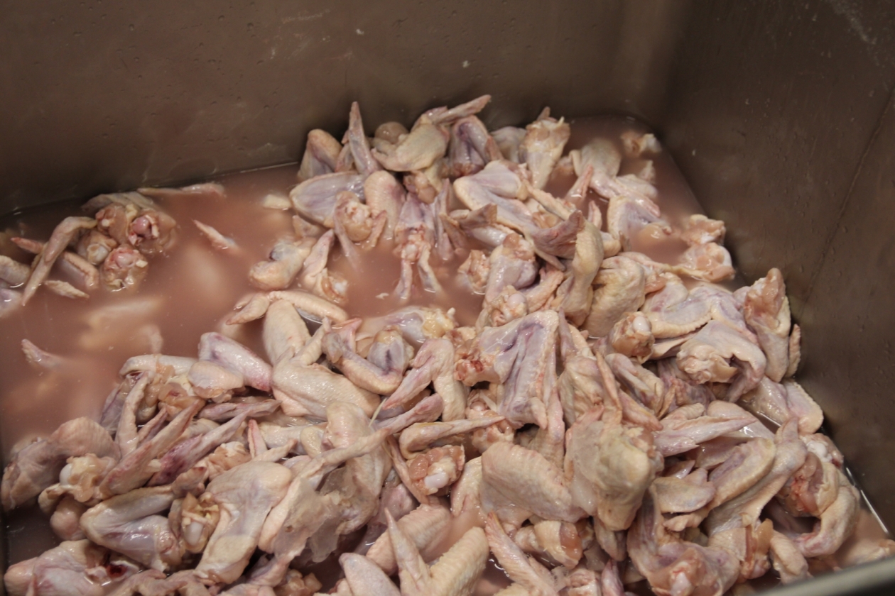 Тематическое фото Ксения Письменова, ИА EAOMedia