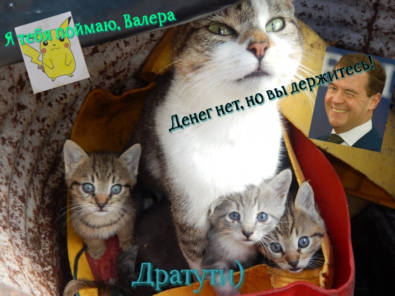 Тематическое фото Сайт pxhere.com, коллаж