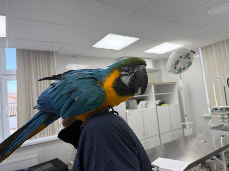 Правительство Севастополя