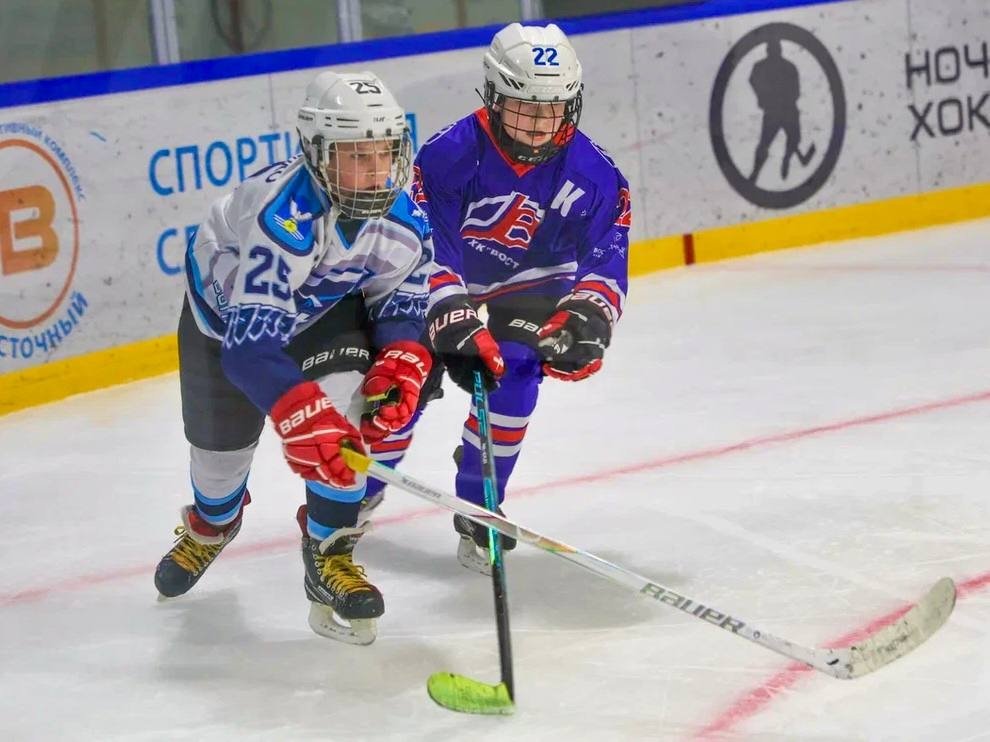 Хоккейный матч АО &quotВосточный Порт&quot