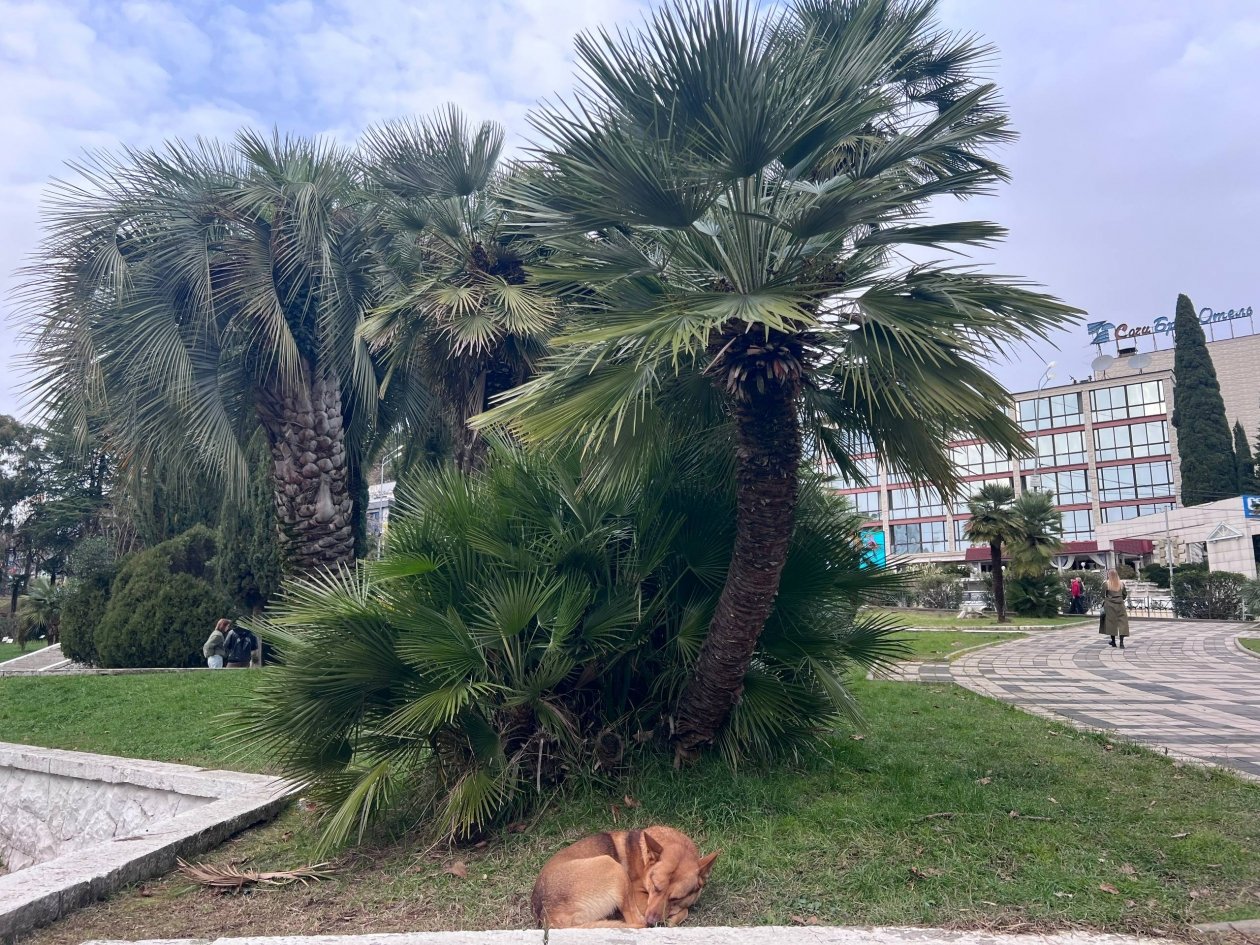 Курорты Кубани вошли в ТОП направлений для отдыха в феврале Валерия Годовникова