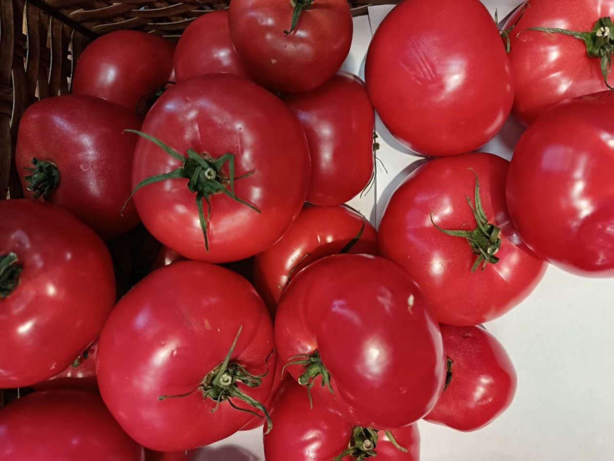 Как &quotБычье сердце&quot, но сахаристее: сорта крупноплодных томатов, от 300 гр до 1 кг - одним семью накормить можно ИА StavropolMedia