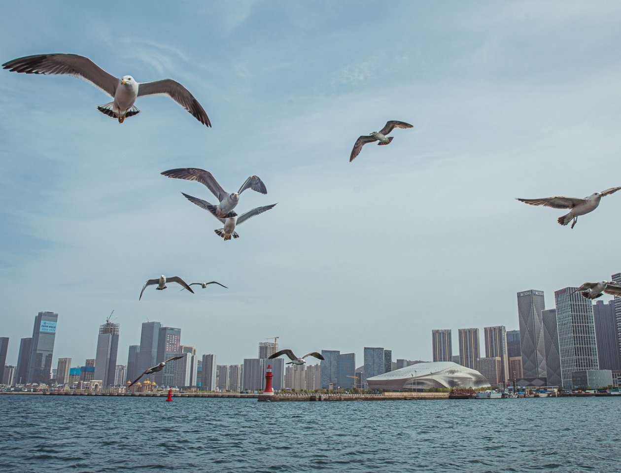 Вид на город Далянь с моря Мария Смитюк, ИА PrimaMedia