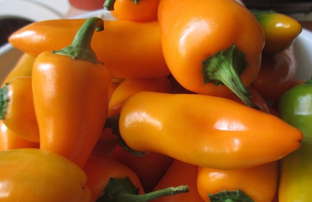 Тематическое фото Автор канала