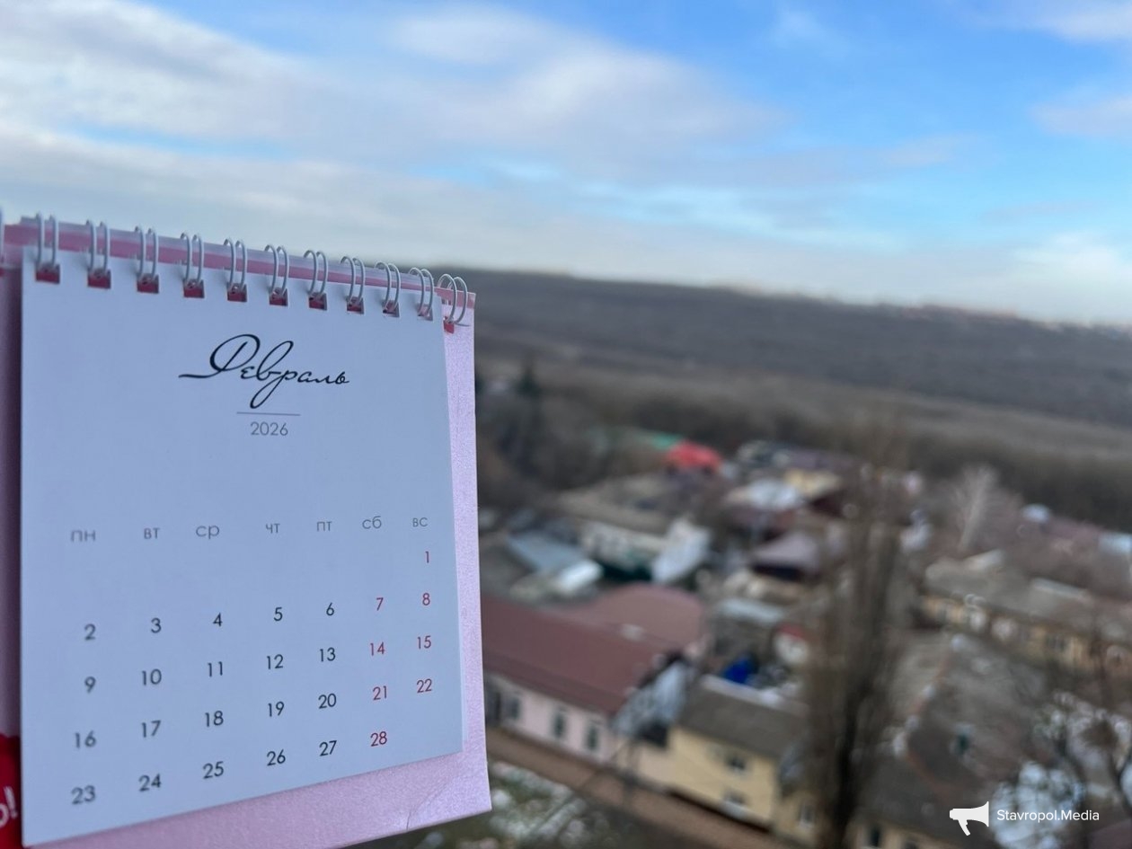 Какие законы вступят в силу в феврале 2026 года ИА Stavropol.Media