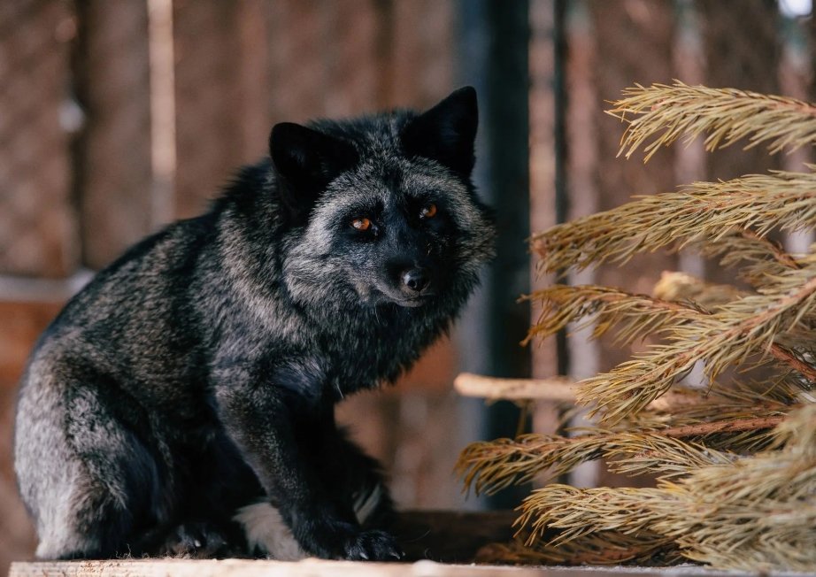 Пресс-служба министерства культуры Хабаровского края