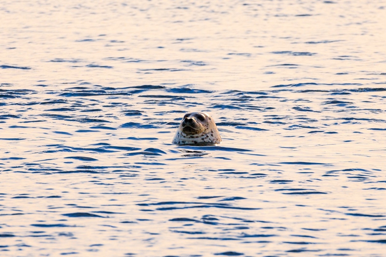 Тематическое фото Евгений  Кулешов, ИА PrimaMedia.ru
