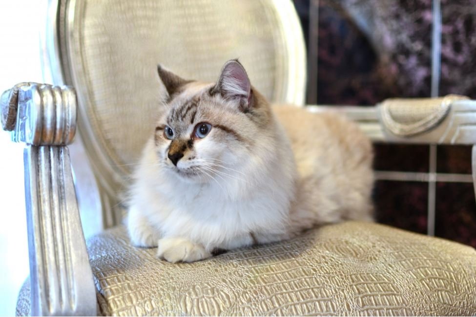 Тематическое фото pxhere.com