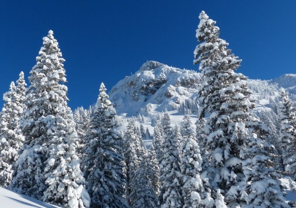 Тематическое фото pxhere.com