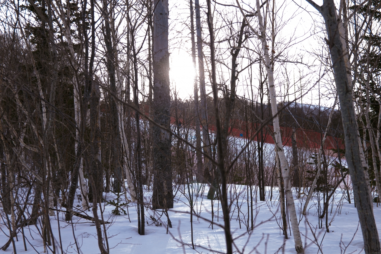 Собака напала на работника КПП в Якутии Владислав Беляцкий, ИА SakhalinMedia