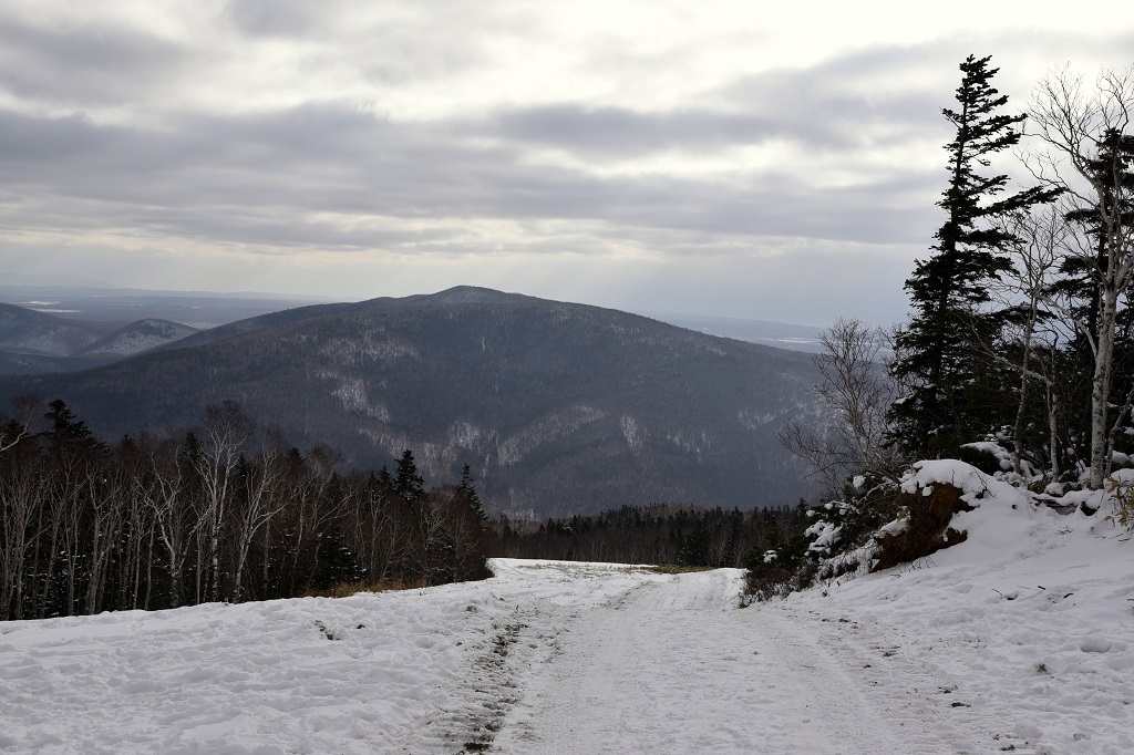 Тайга Юрий Гуршал, ИА SakhalinMediа