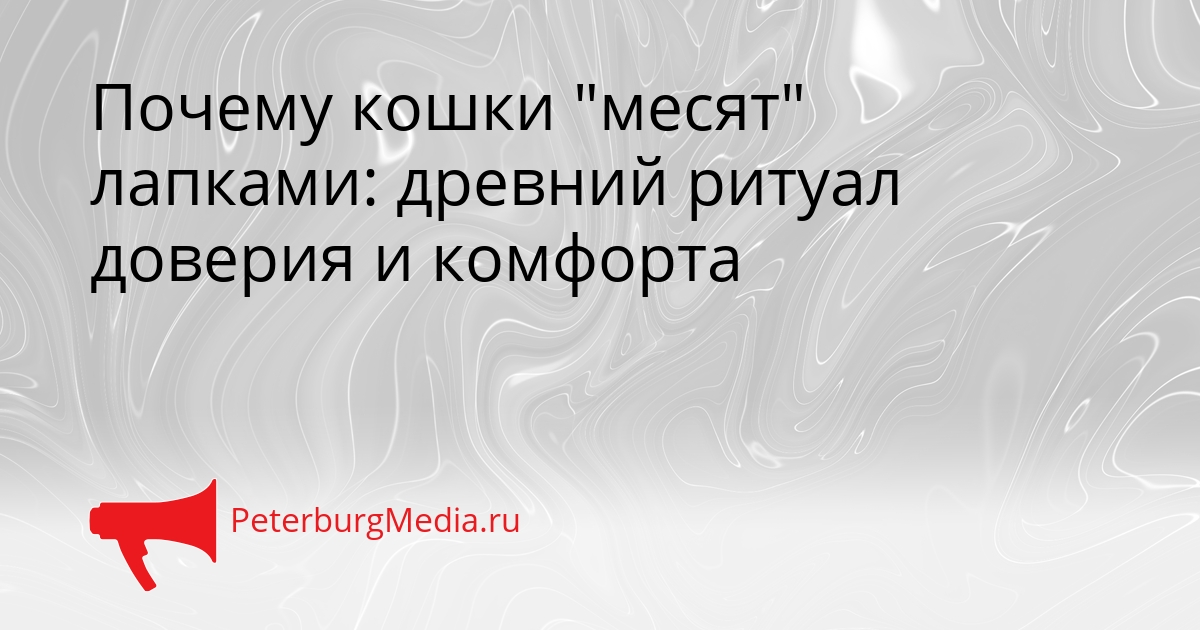 Почему кошки &quotмесят&quot лапками: древний ритуал доверия и комфорта Сгенерировано