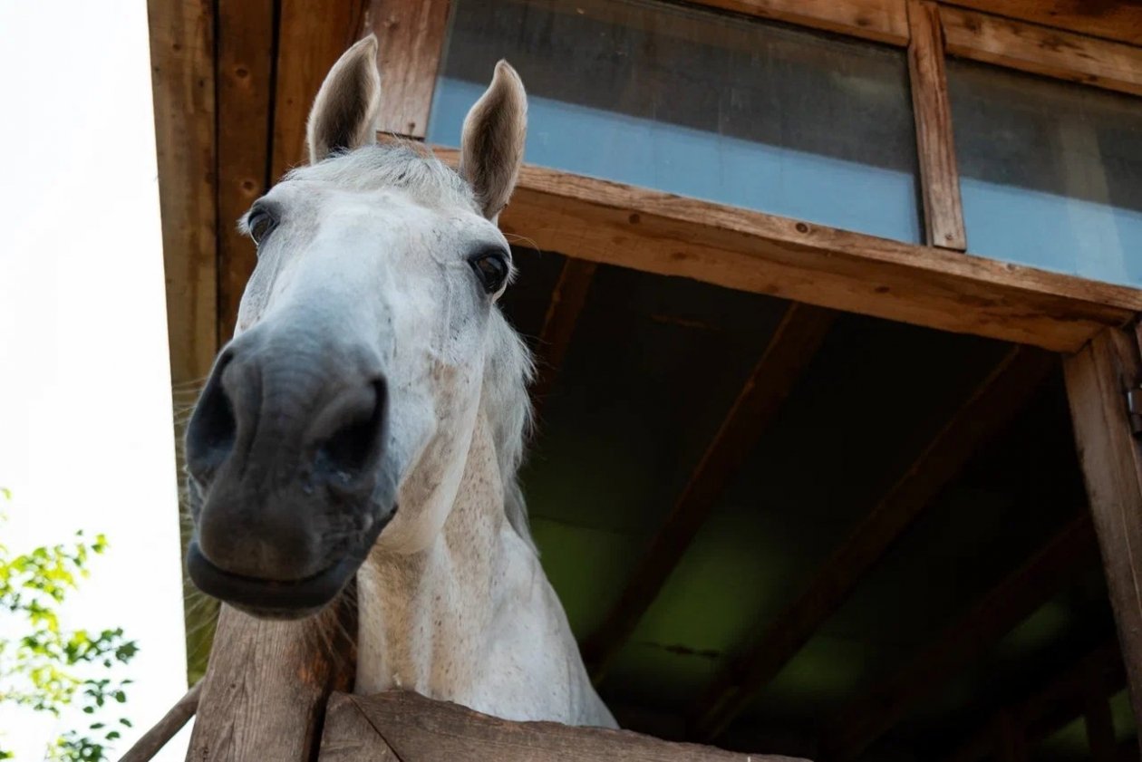 Тематическое фото ИА AmurMedia