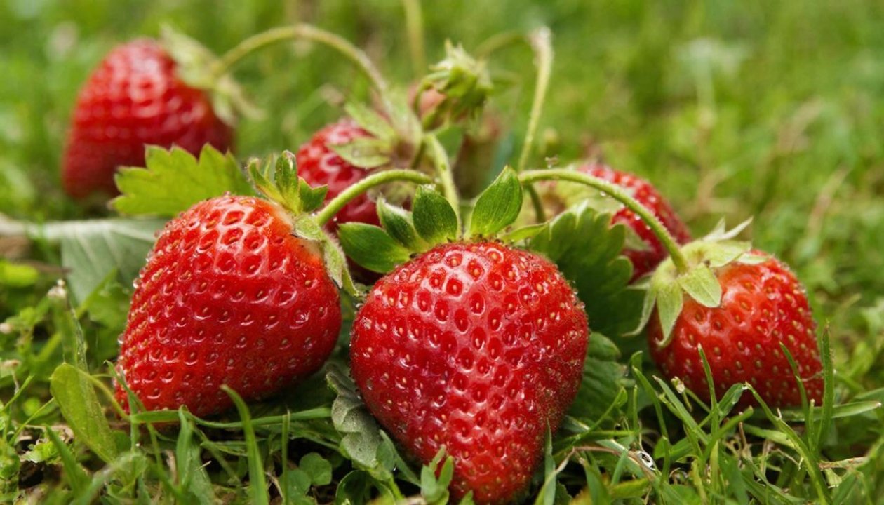 Изображение GigaChat (18+)