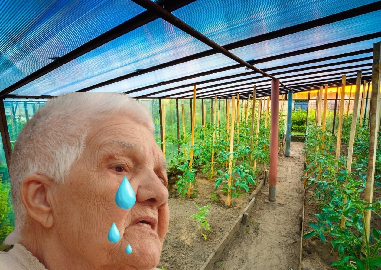 Тематическое фото ИА PrimaMedia