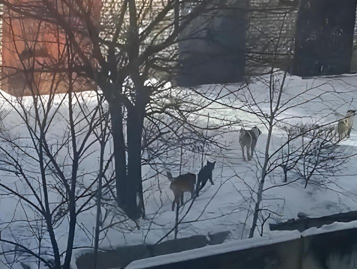 Тематическое фото скриншот видео от наркорра ИА ЕАОMedia