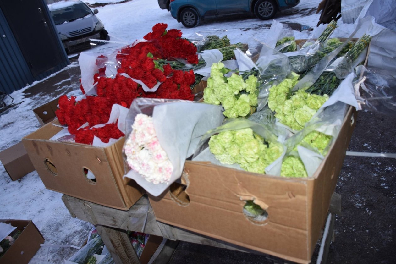 Россельхознадзор Приморья предотвратил ввоз живых цветов из КНР, зараженных западным цветочным трипсом Приморское межрегиональное управление РСХН