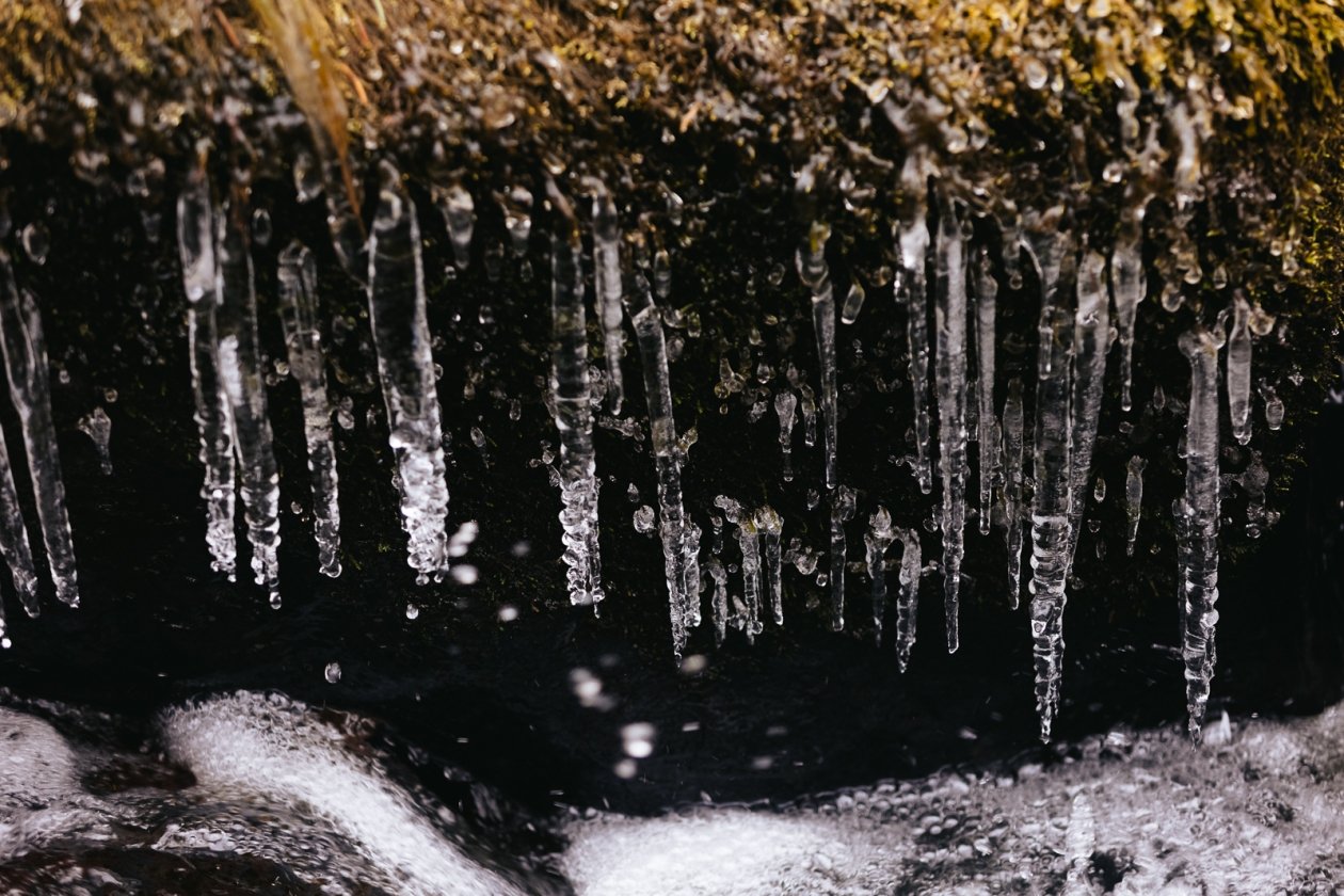 Тематическое фото Яна Гайдук, ИА PrimaMedia