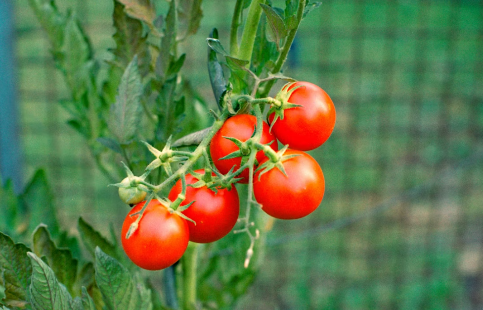 Тематическое фото Unsplash.com (18+)