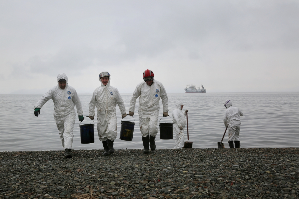 Минприроды Кубани требует с виновников разлива мазута 34 млрд рублей Елена Поддубная