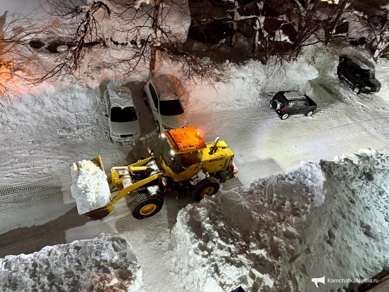 Расчистка двора в Петропавловске-Камчатском ИА KamchatkaMedia