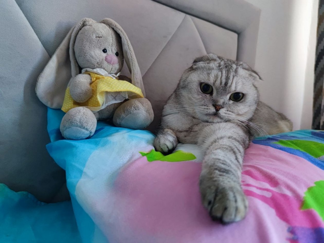 Елена Гиневская, ИА Stavropol.Media