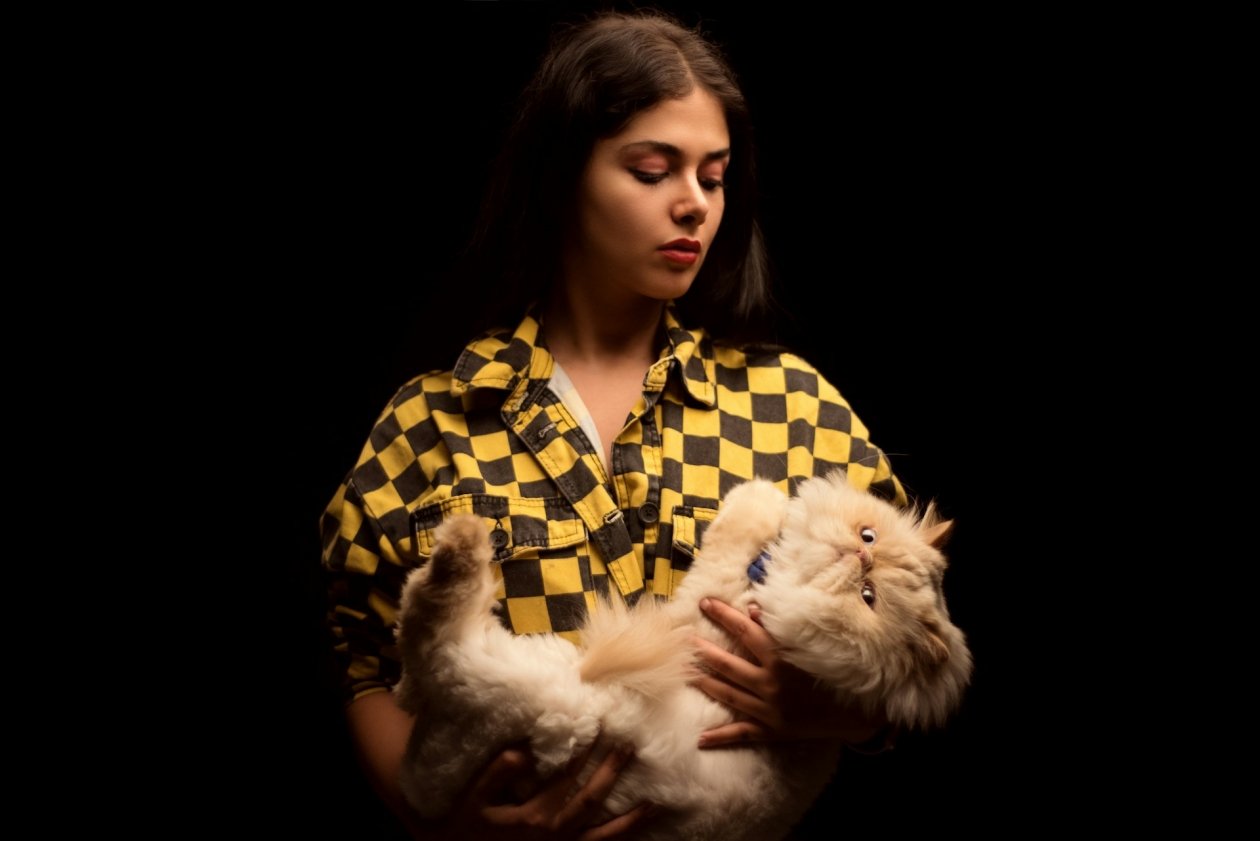 Пройдите ТЕСТ и узнайте, какая кошка вам идеально подойдет Amin Alizadeh/unsplash