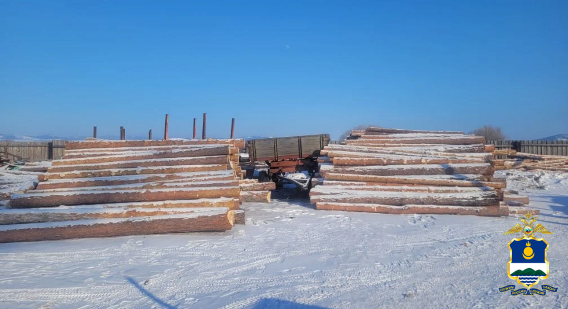 В Бурятии задержали &quotчерных лесорубов&quot с 33 кубометрами хвойной древесины пресс-служба МВД Бурятии